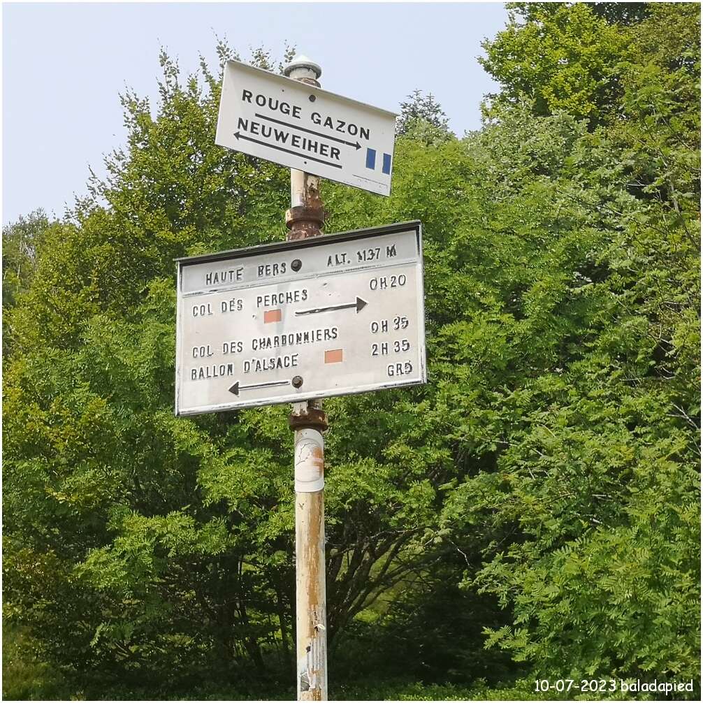 2023 07 10 015 rav 181 230693 rouge gazon perches haute bers